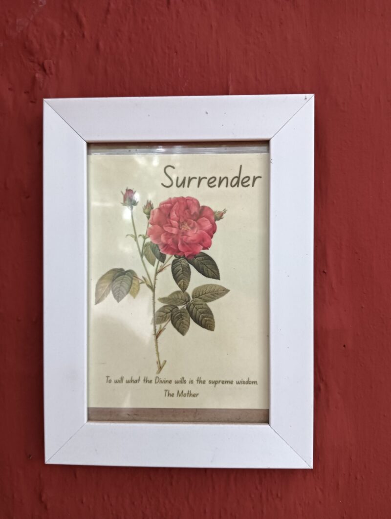 ゲストハウスの入り口に飾られた額縁。部屋の名前『サレンダー』と花の絵が描かれている